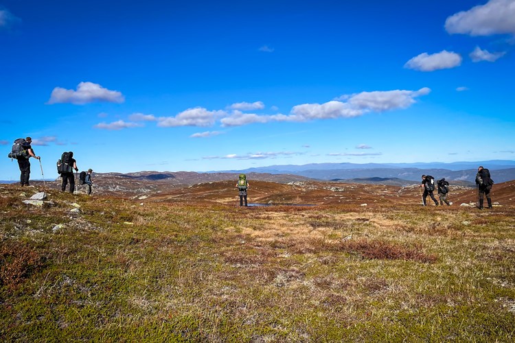 Hiking en Trekking Scandinavië - Surviking